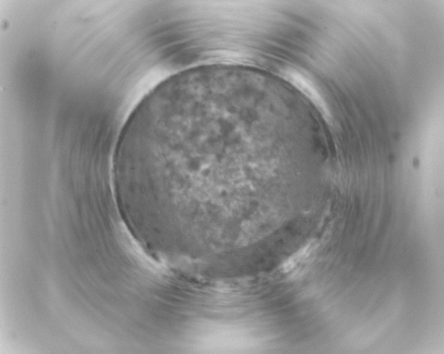 X0000088851283200706221651