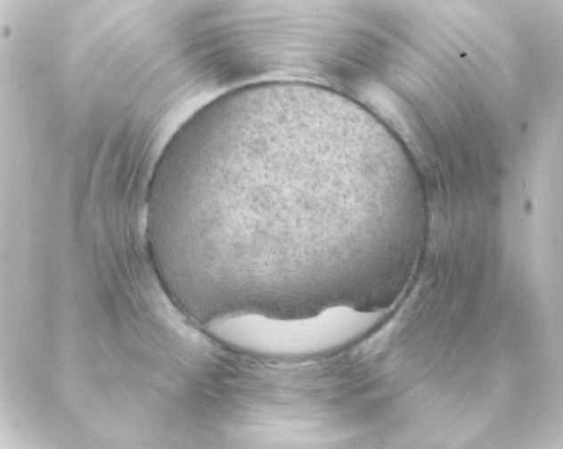 X0000088851284200706221651