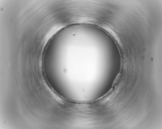 X0000088851285200706221651