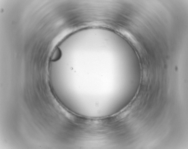 X0000088851286200706221651