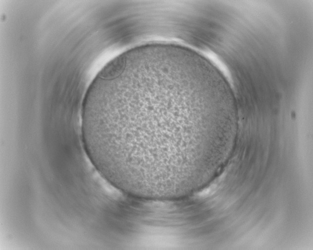 X0000088851287200706221651