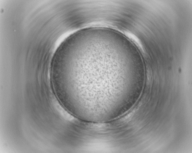 X0000088851288200706221651