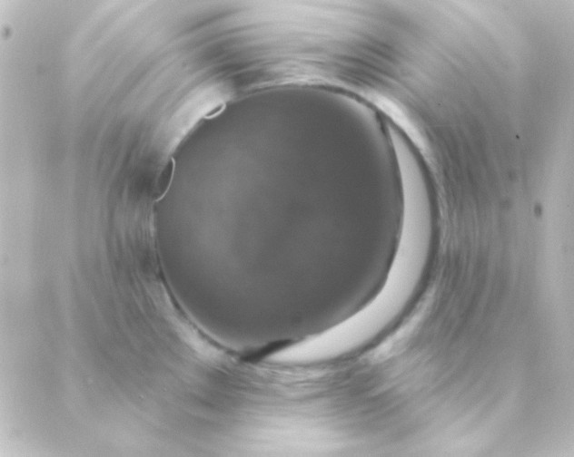 X0000088851289200706221651