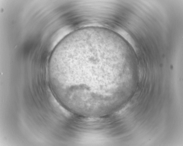 X0000088851290200706221651