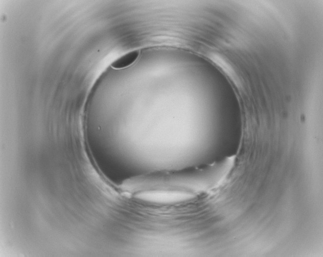 X0000088851291200706221651