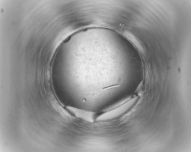 X0000088851292200706221651