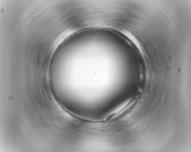 X0000088851293200706221651