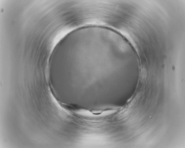 X0000088851295200706221651