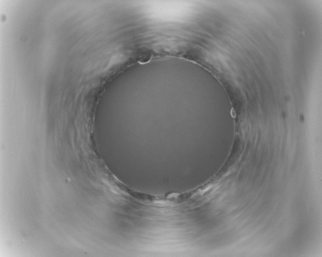 X0000088851297200706221650