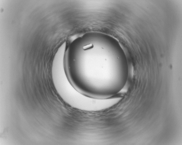 X0000088851298200706221650