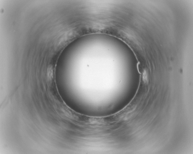 X0000088851299200706221650