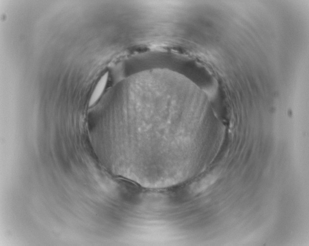 X0000088851300200706221650