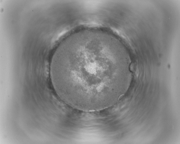 X0000088851301200706221650