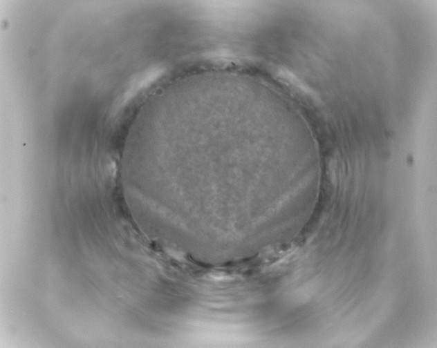 X0000088851302200706221650