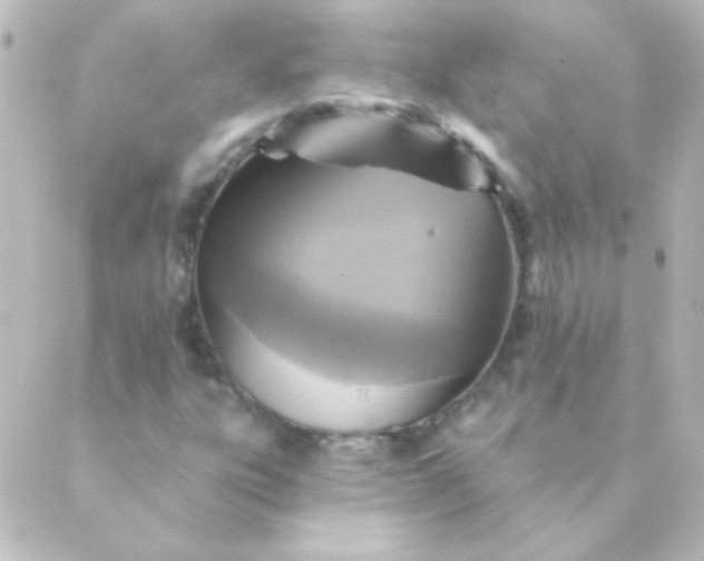 X0000088851303200706221650