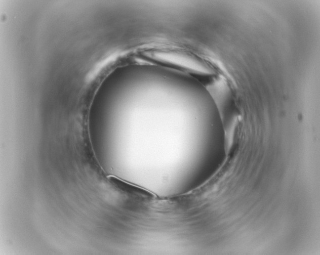 X0000088851304200706221650