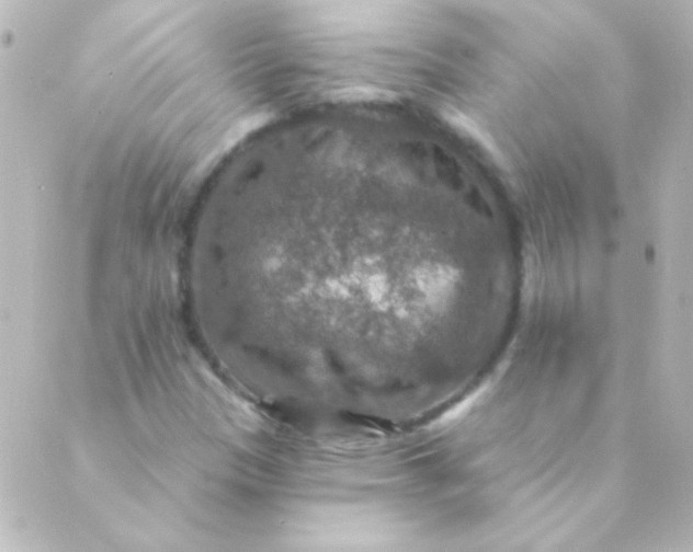 X0000088851305200706221650