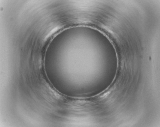 X0000088851306200706221650