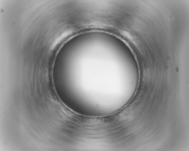 X0000088851307200706221650