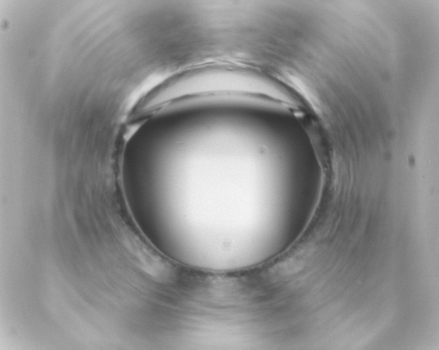 X0000088851308200706221650