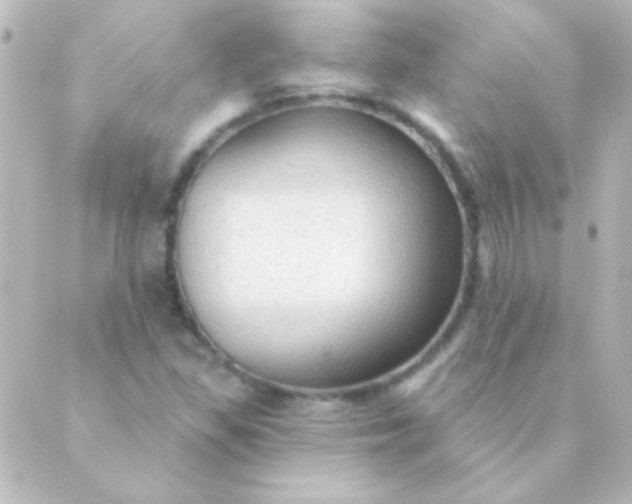 X0000088851309200706221650