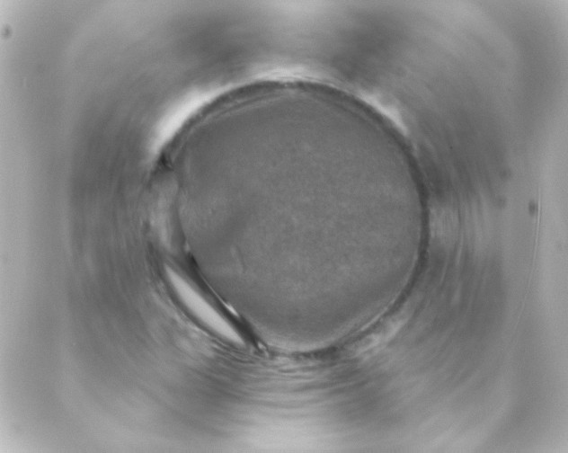 X0000088851311200706221650