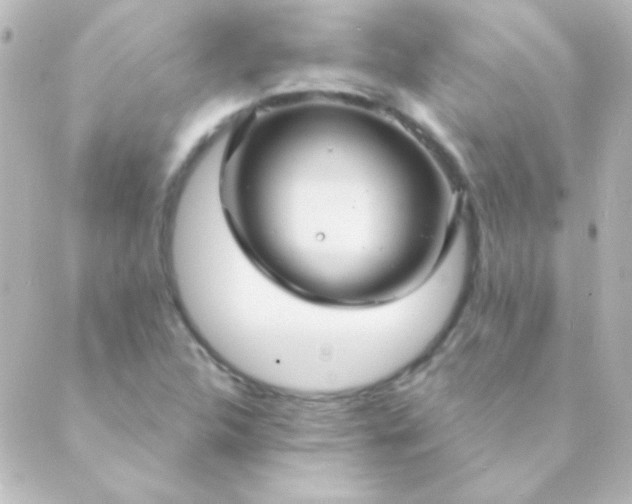 X0000088851312200706221650