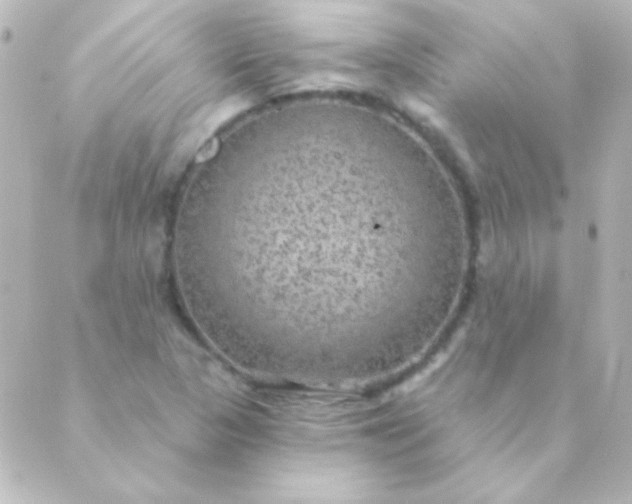 X0000088851313200706221650