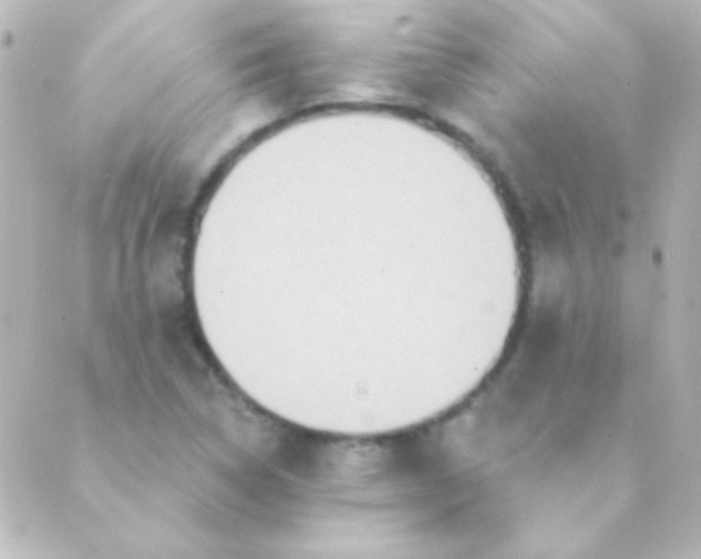 X0000088851314200706221650