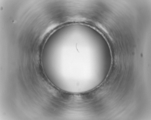 X0000088851315200706221650