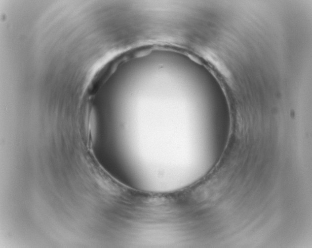 X0000088851316200706221650