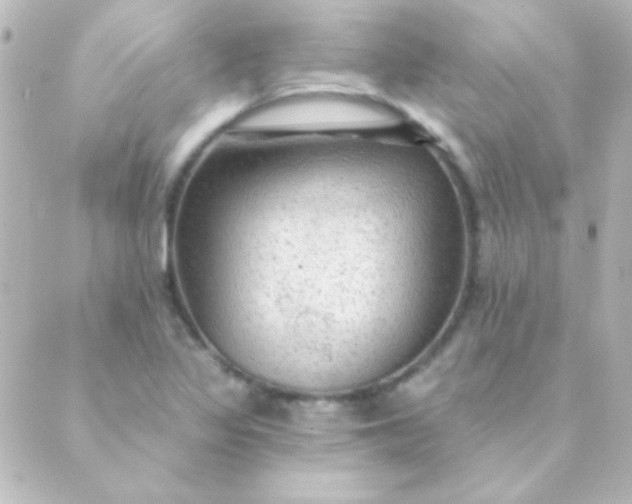 X0000088851317200706221650