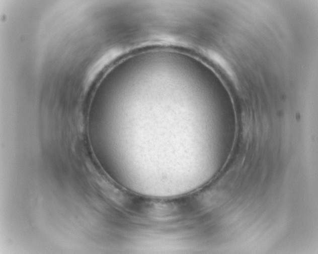 X0000088851318200706221650