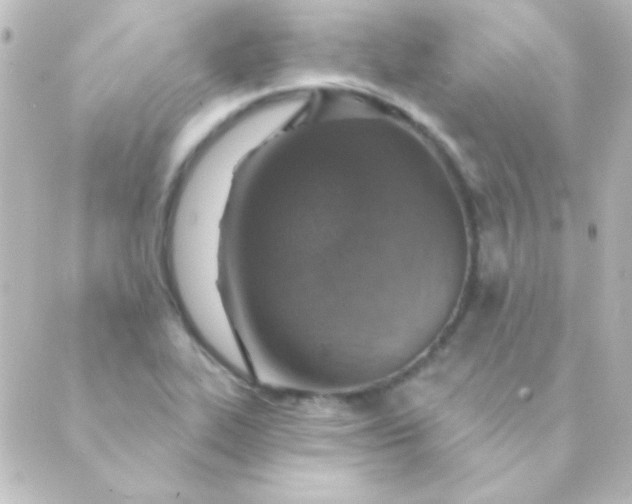 X0000088851319200706221650