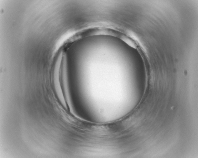 X0000088851320200706221650