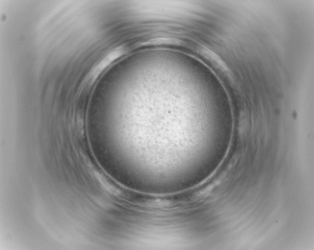 X0000088851321200706221650