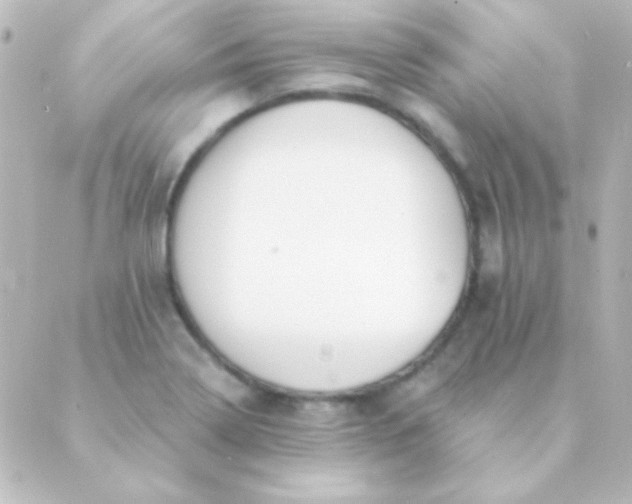 X0000088851322200706221650