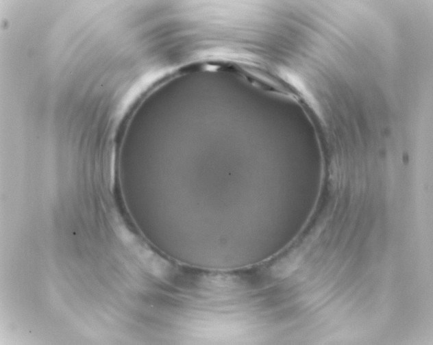 X0000088851323200706221650