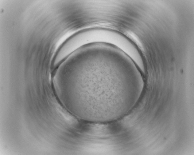 X0000088851324200706221650