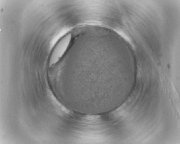 X0000088851325200706221650