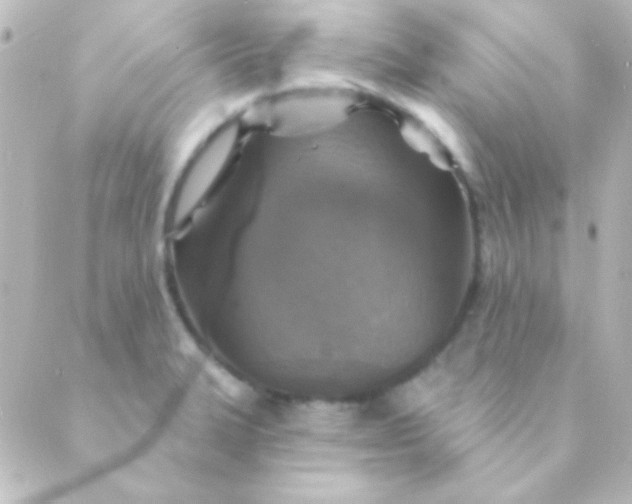 X0000088851327200706221650