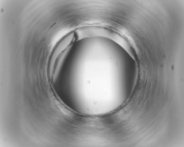 X0000088851328200706221650