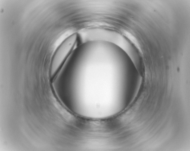 X0000088851330200706221650