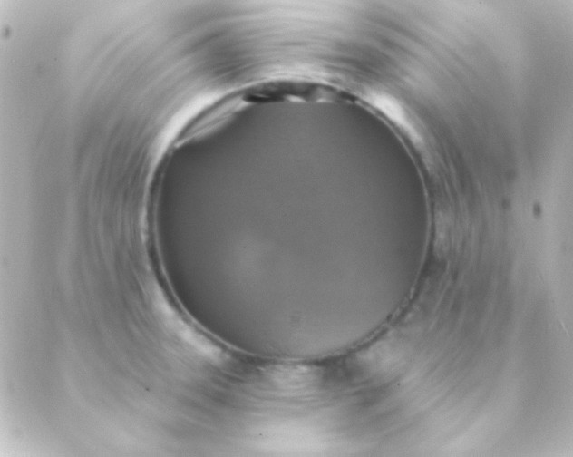 X0000088851331200706221650