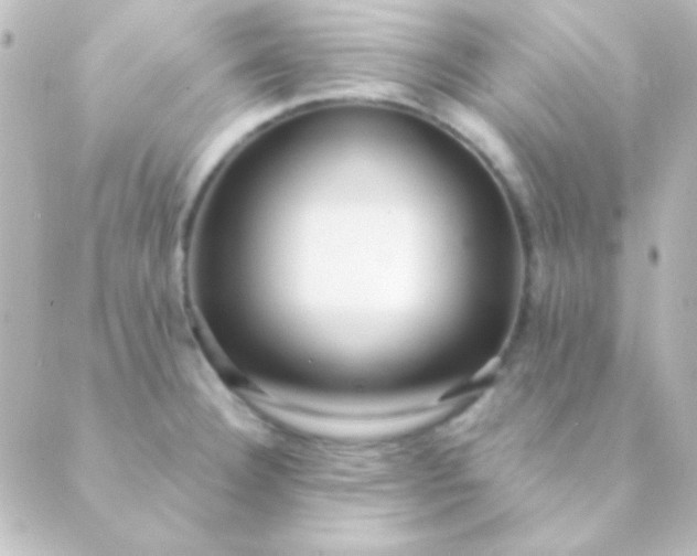 X0000088851332200706221650