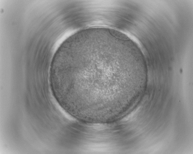 X0000088851333200706221651