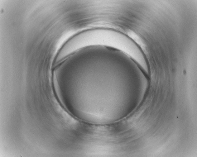 X0000088851334200706221651