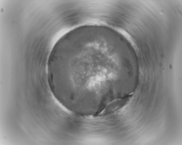 X0000088851335200706221651