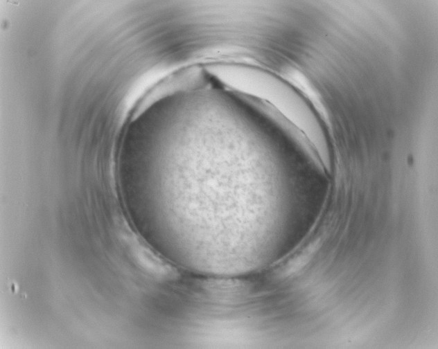 X0000088851336200706221651