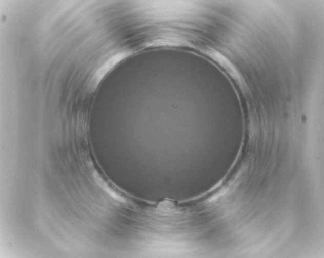 X0000088851337200706221651